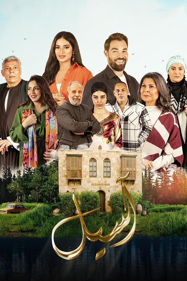 اسيل