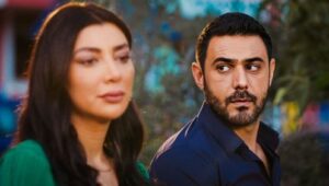 الثمن: 1×42